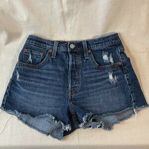 Levi’s Distressed Denim Cutoff Shorts